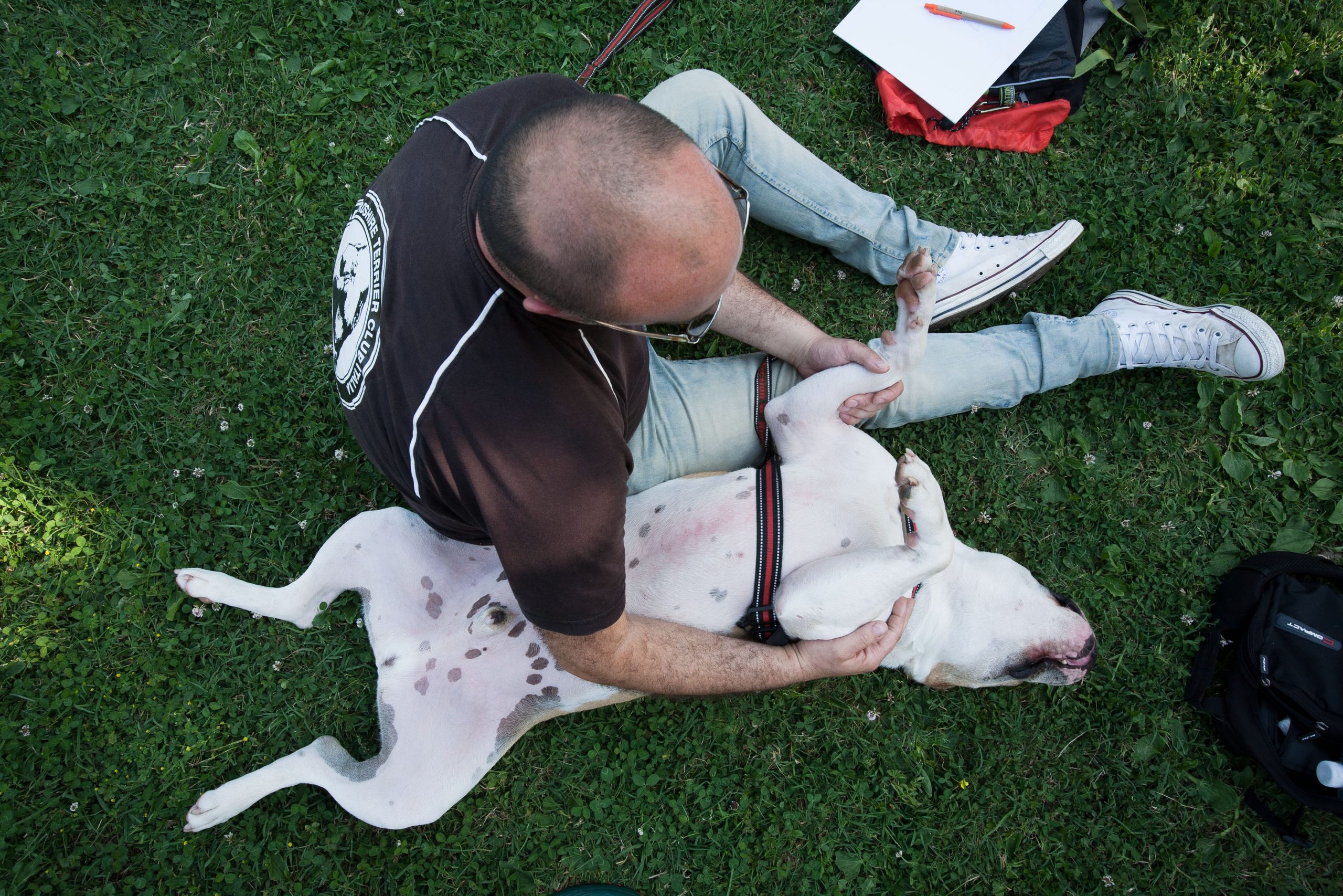 Educazione cani Venezia Mestre