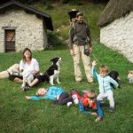 Cani per caso: scuola per cani, piscina, ludoteca a Venezia, Mestre