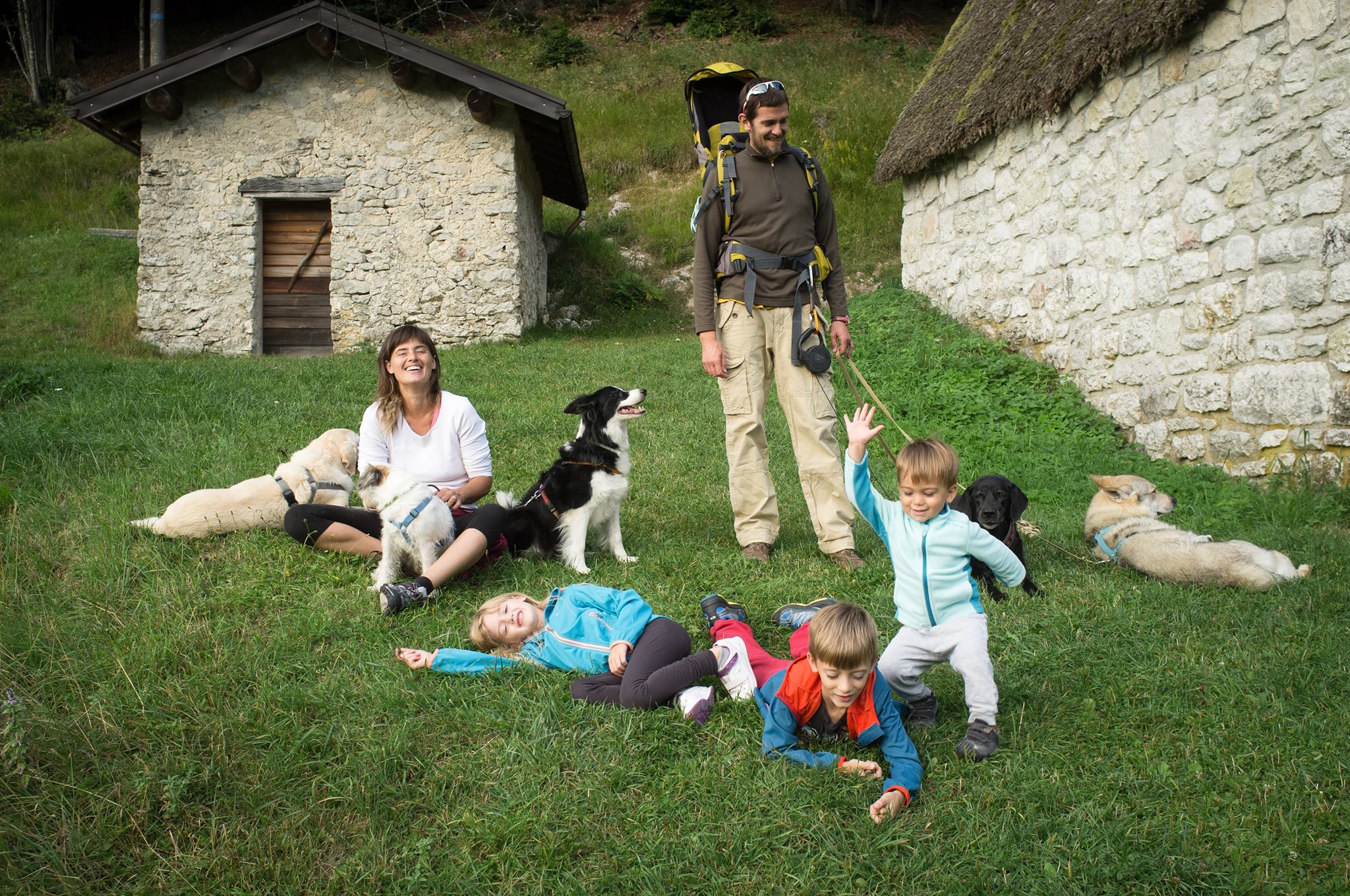 Cani per caso Venezia Mestre