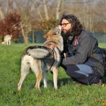 ???? Corsi socializzazione cani Venezia, Cani per caso
