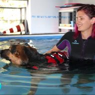 Eliana, piscina e acquaticità per cani