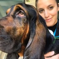 Lisa Vezzola cani per caso Venezia Mestre