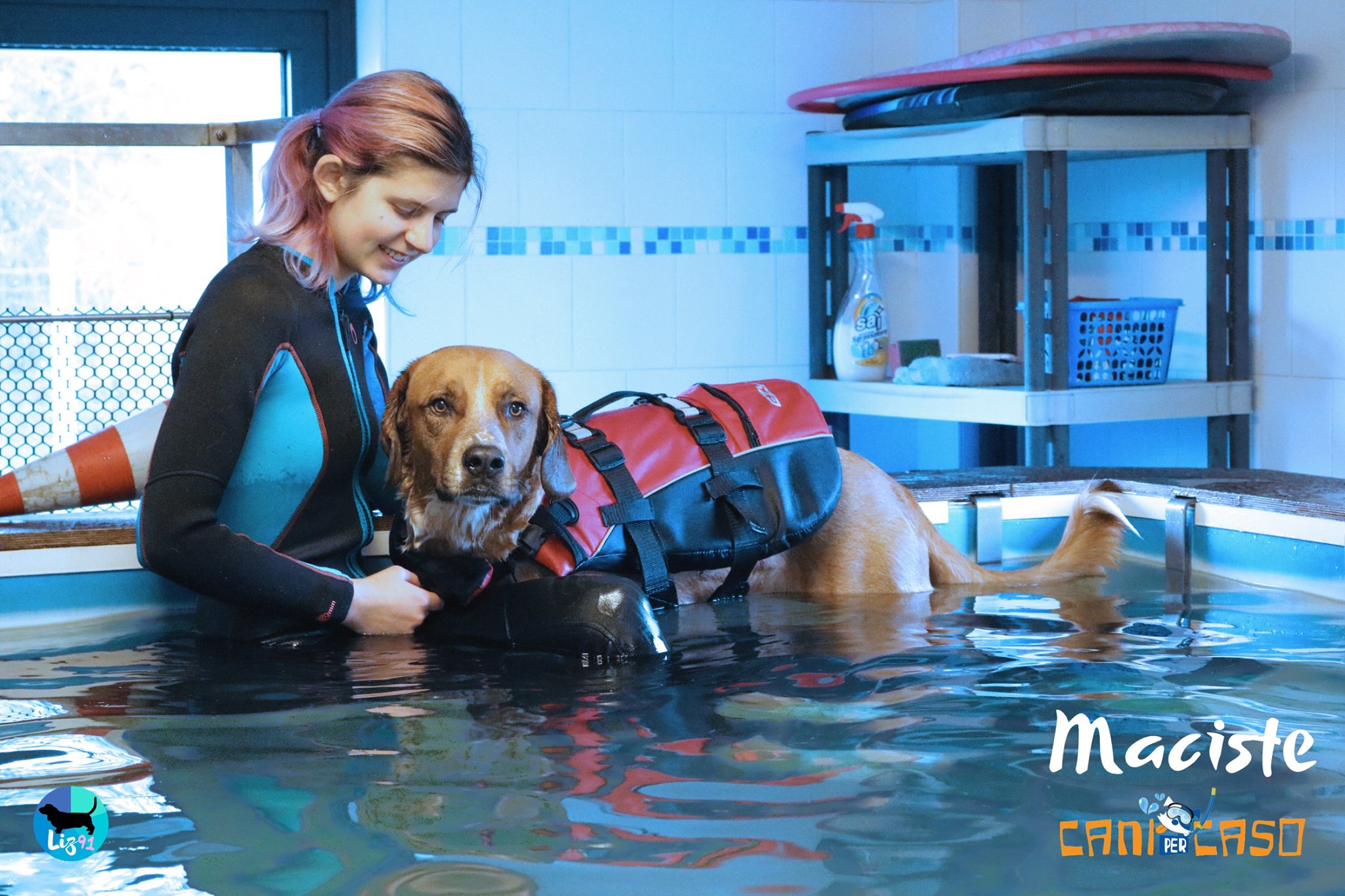 piscina-per-cani-venezia-mestre8