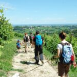 Camminare con il cane fa bene