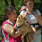 Camminare con il cane fa bene