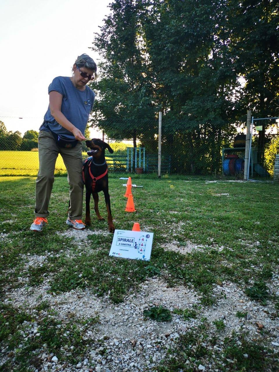 Adottare un cane, consigli utili