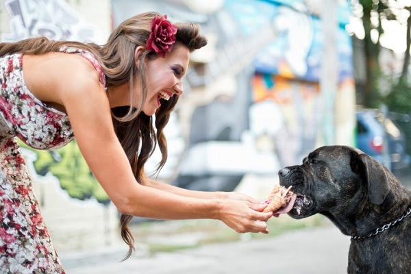 Ghiaccioli per cani: ricetta