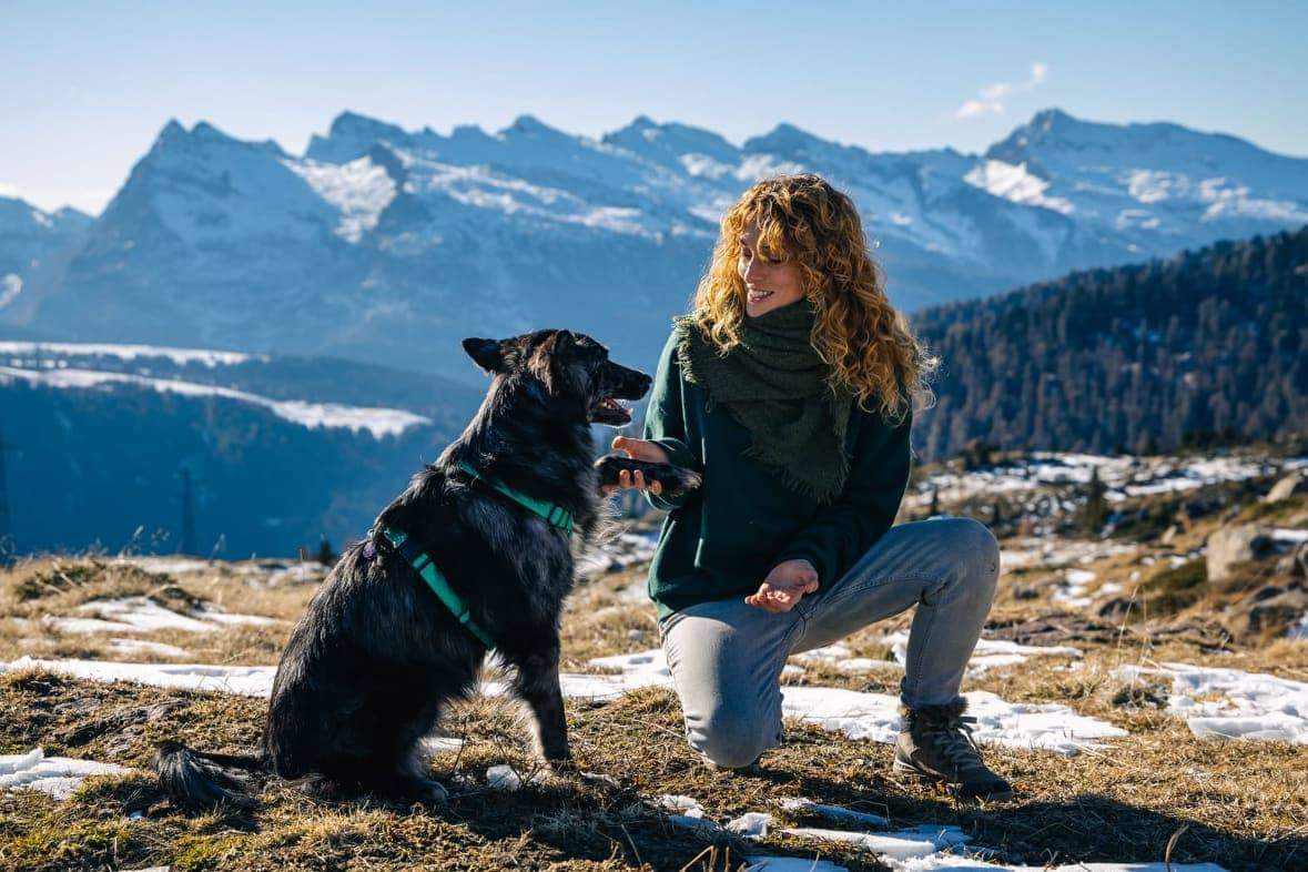 Nicole Marchiori Cani per caso